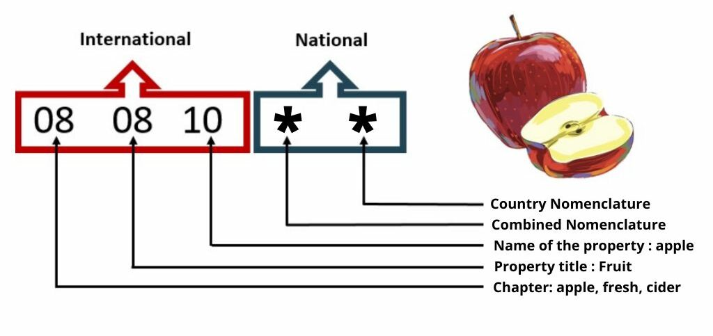 HS CODE