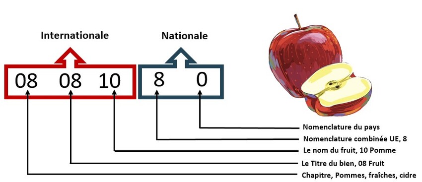 code HS pomme